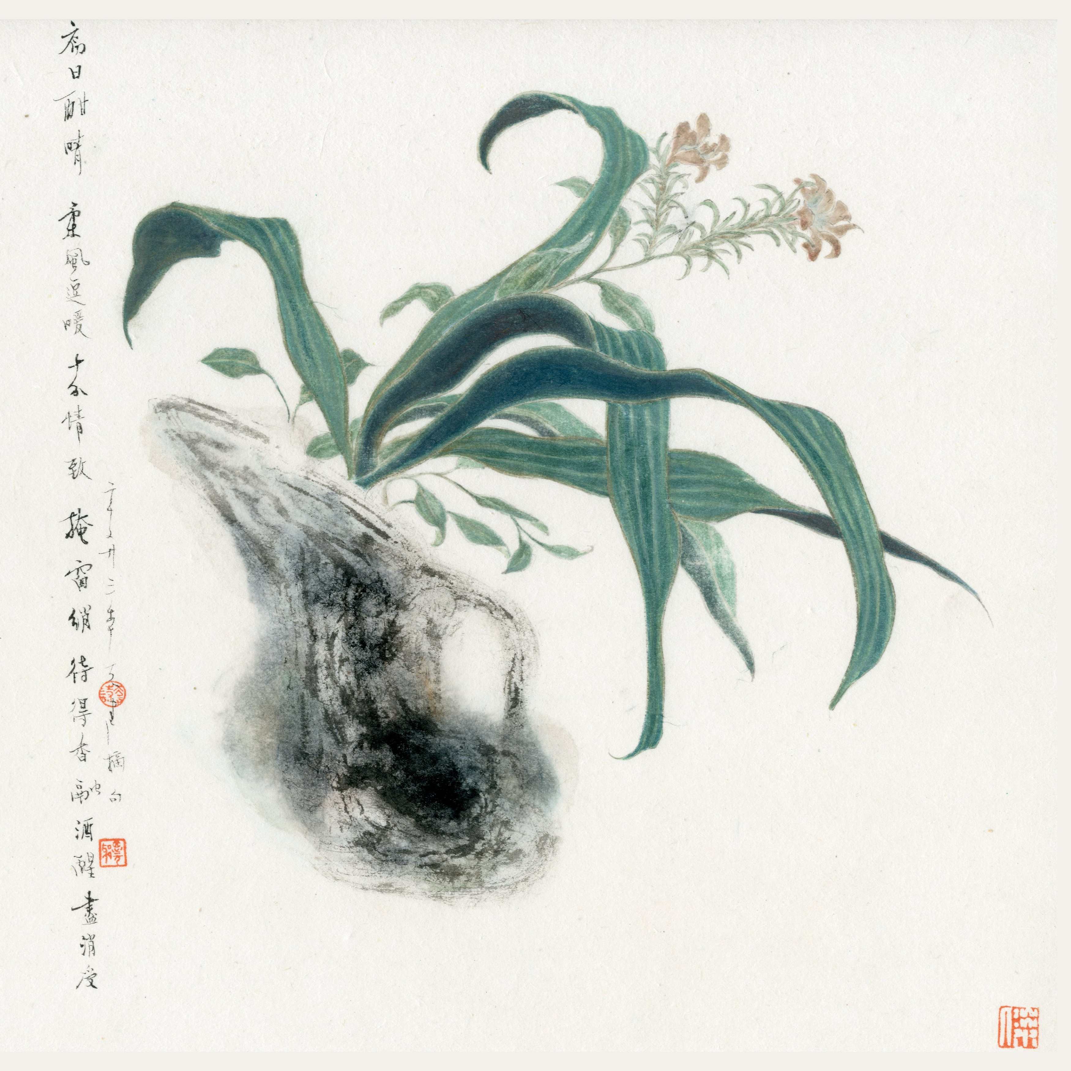 逗暖