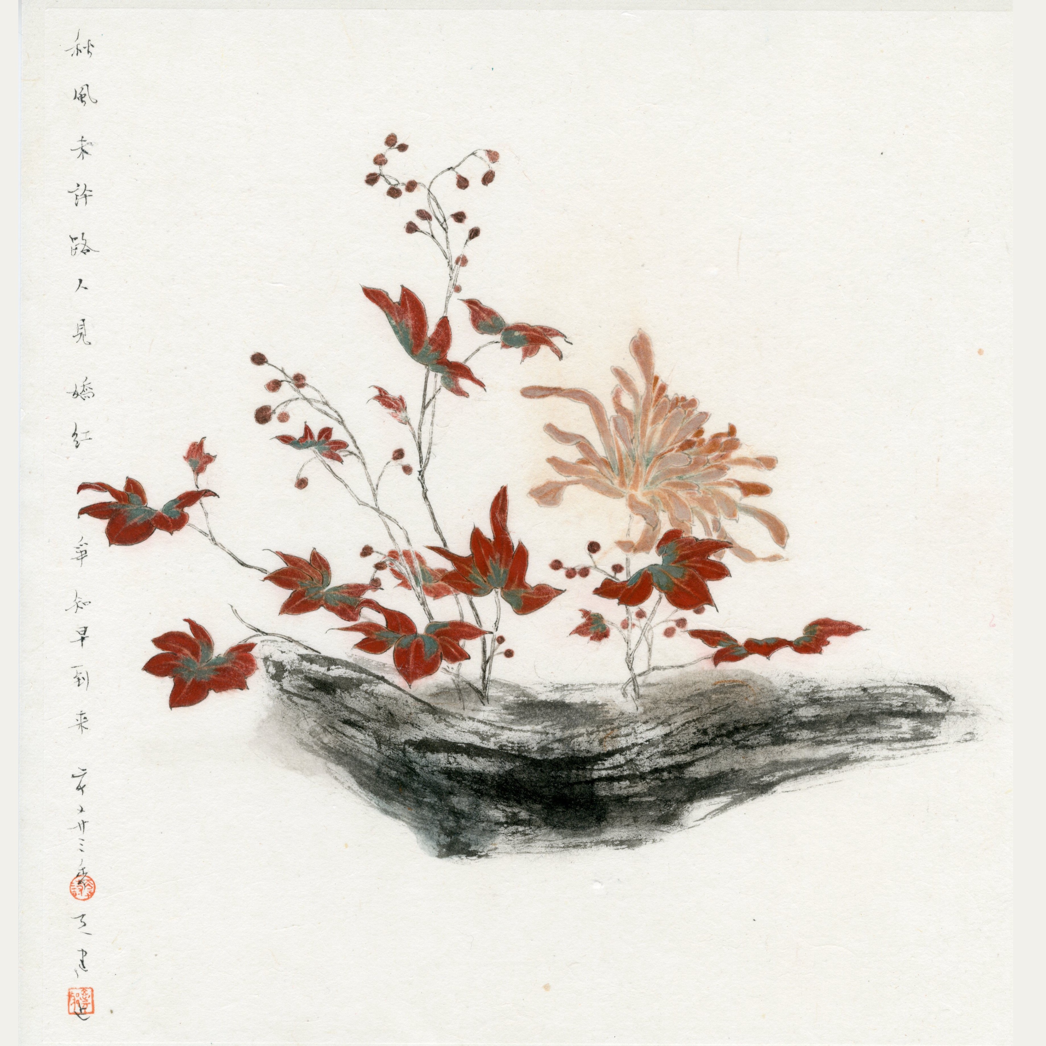 嬌紅早知到