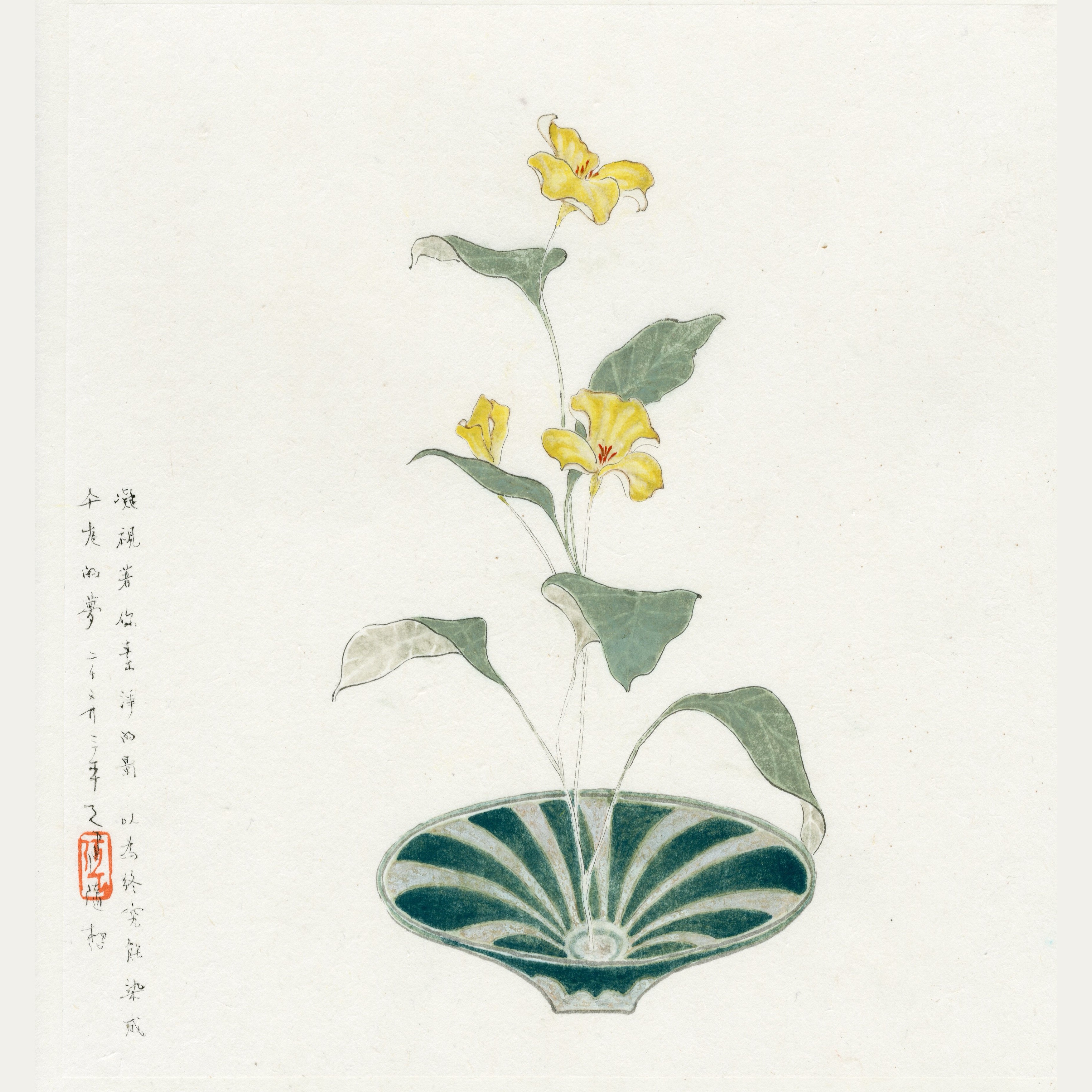 素淨的影